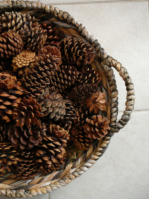 FOCAL POINT STYLING: IDEAS FOR DECORATING WITH PINE CONES